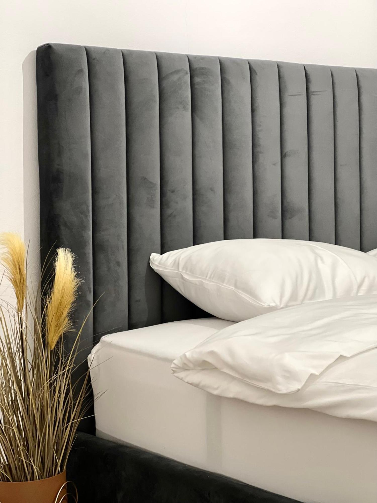 Transylvania Central Apartment Клуж-Напока Екстериор снимка